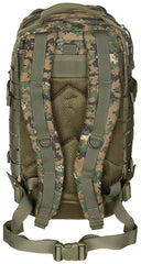 US Rucksack, Assault I
