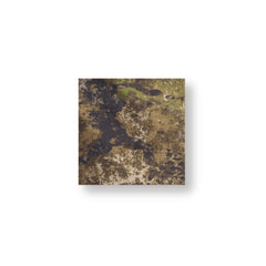 Leo Köhler Combatshirt Leo Köhler