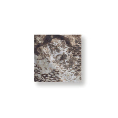 Leo Köhler Combatshirt Leo Köhler