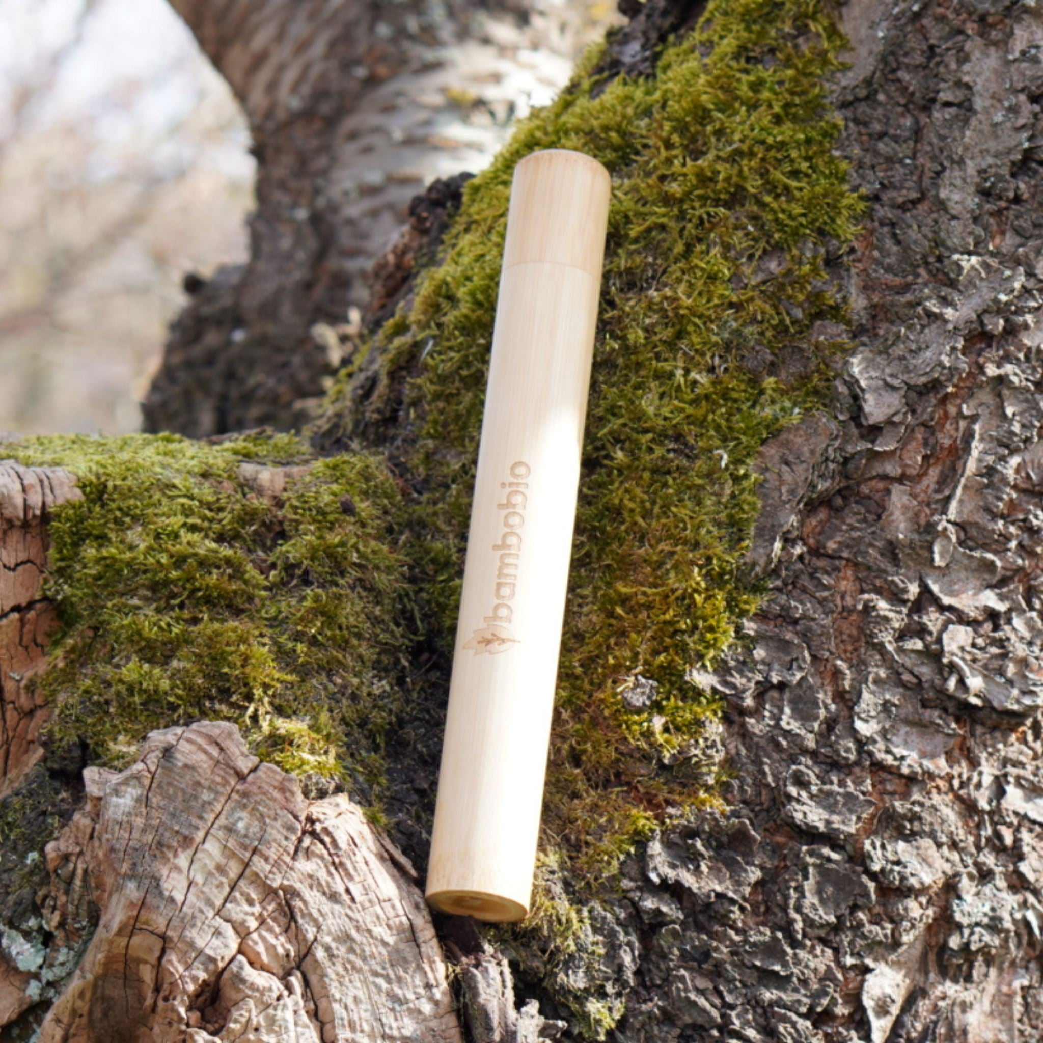 Bambus Reise-Etui für Zahnbürsten Reiseetui bambobio Für Erwachsenen Zahnbürsten