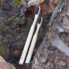 Bambus Zahnbürste mit Binchotan Borsten Zahnbürste bambobio   