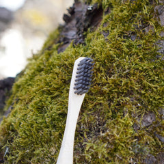Bambus Zahnbürste mit Binchotan Borsten Zahnbürste bambobio
