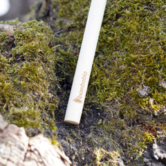 Bambus Zahnbürste mit Binchotan Borsten Zahnbürste bambobio