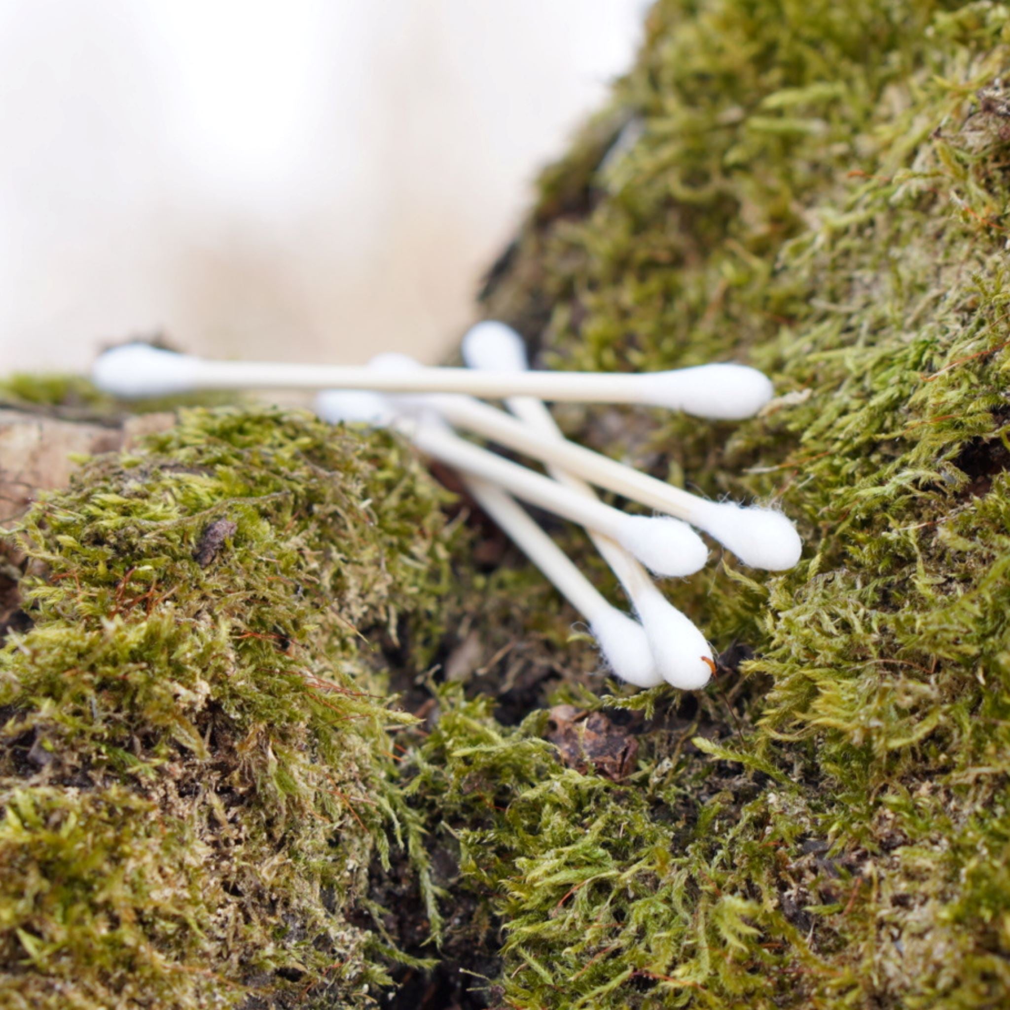 Wattestäbchen aus Bambus & Baumwolle Wattestäbchen bambobio