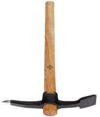 Schweiz. Pionierpickel