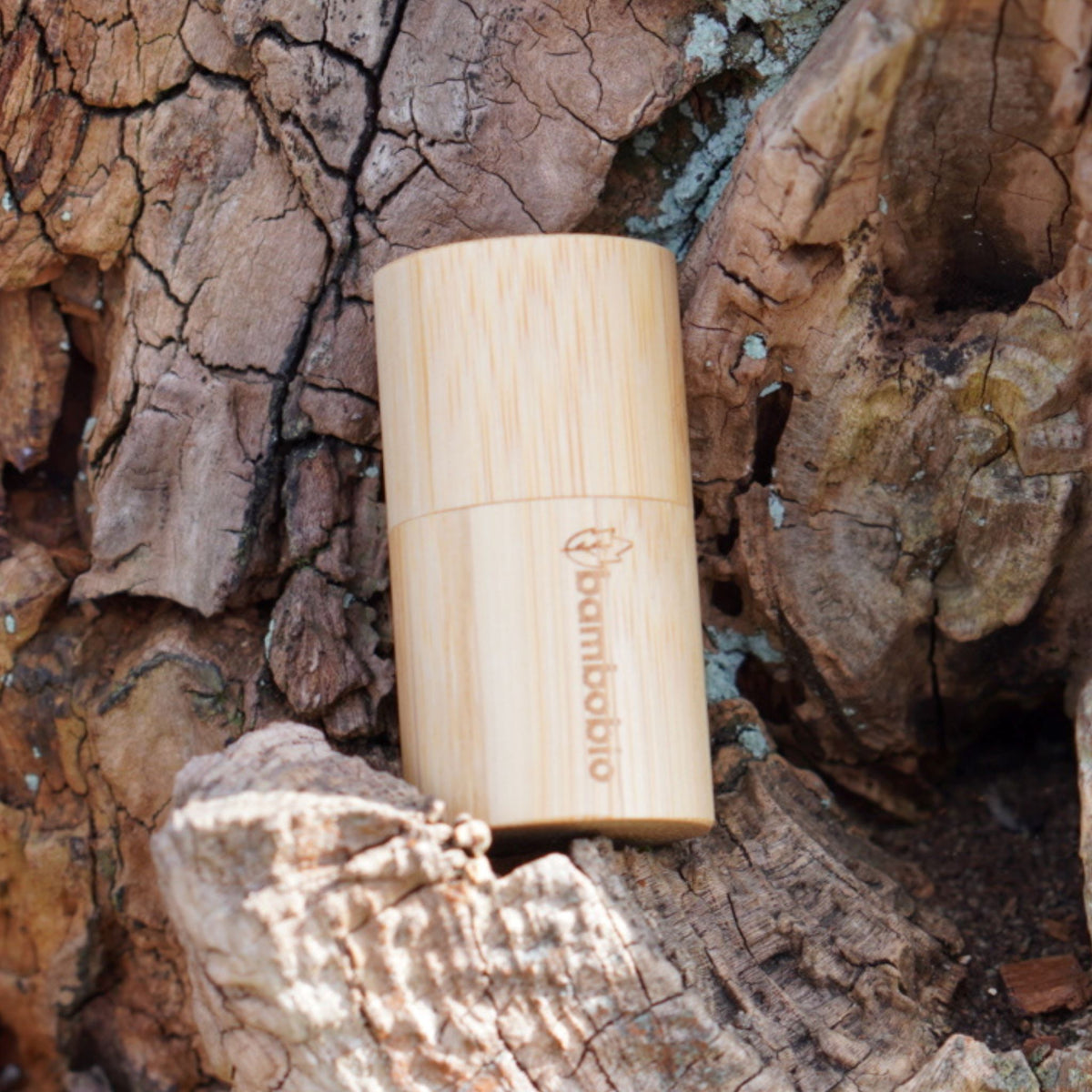 Zahnseide aus Holzkohle mit Bambusbox Zahnseide bambobio   