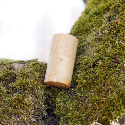 Zahnseide aus Holzkohle mit Bambusbox Zahnseide bambobio   